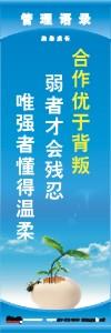 管理標(biāo)語 現(xiàn)場(chǎng)管理標(biāo)語 生產(chǎn)管理標(biāo)語 合作優(yōu)于背叛弱者才會(huì)殘忍唯強(qiáng)者懂得溫柔