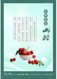 飲食文化標(biāo)語(yǔ) 長(zhǎng)壽食品山楂