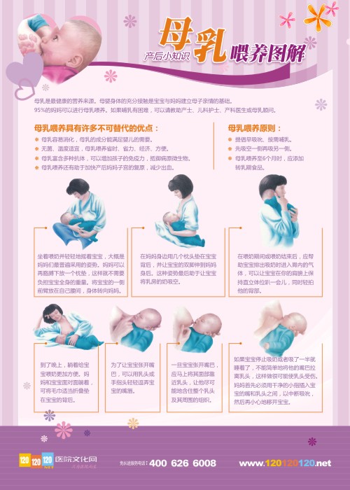 產后小知識 母乳喂養(yǎng)圖解 婦幼保健口號