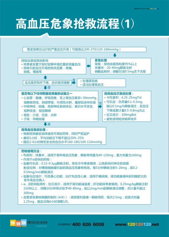 醫(yī)院急診搶救流程圖  高血壓危象搶救流程（1）