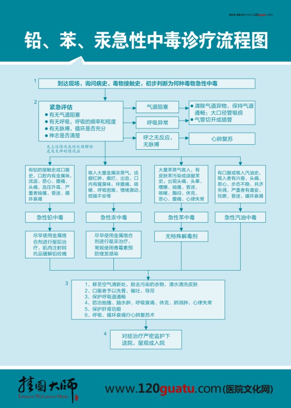 鉛、笨、汞急性中毒診療流程圖 醫(yī)院急救流程