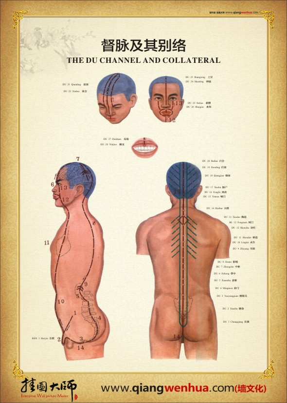 都脈及其別脈 人體經(jīng)脈穴位圖