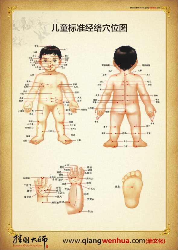 兒童經(jīng)絡穴位圖 中醫(yī)人體穴位圖