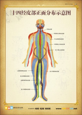 人體正面穴位示意圖 人體穴位分布圖 十四經(jīng)皮部正面分布示意圖 